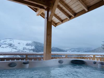 Spa hiver avec vue enneigée